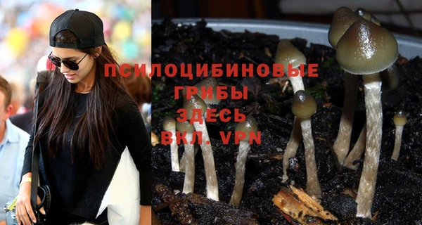 spice Арсеньев